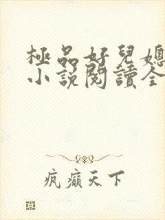 极品好儿媳苏媚小说阅读全文最新章