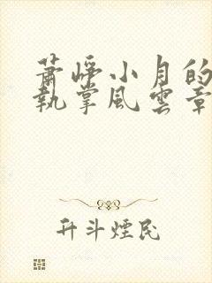 萧峥小月的小说执掌风云章节更新