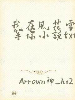 我在风花雪月里等你小说txt文档