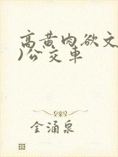 高黄肉欲文(h)公交车