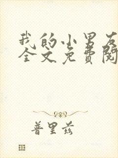 我的小男友小说全文免费阅读