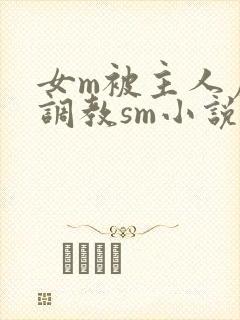 女m被主人虐玩调教sm小说封面