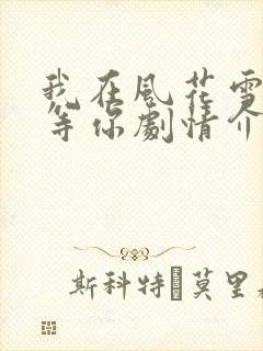 我在风花雪月里等你剧情介绍封面