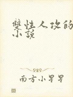 双性人攻的高h小说封面