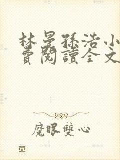 林曼孙浩小说免费阅读全文最新章节