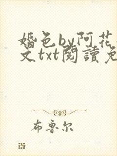 婚色by阿花全文txt阅读免费