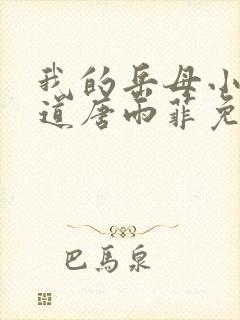 我的岳母小说林道唐雨菲免费阅读