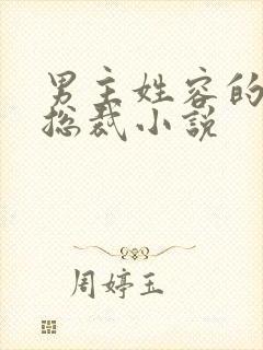 男主姓容的霸道总裁小说封面