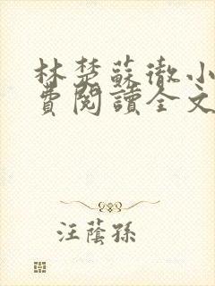 林楚苏彻小说免费阅读全文最新章节