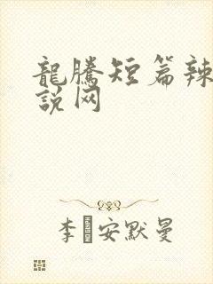 龙腾短篇辣文小说网