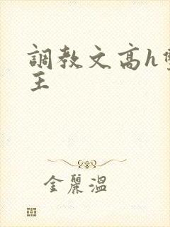 调教文高h双男主封面