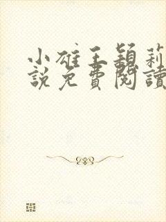 小雄王颖莉的小说免费阅读全文