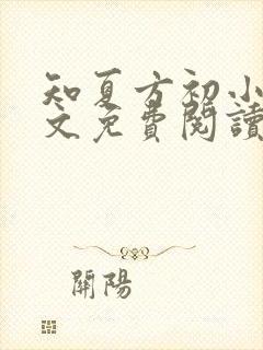 知夏方初小说全文免费阅读最新章节