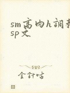 sm高肉h调教sp文