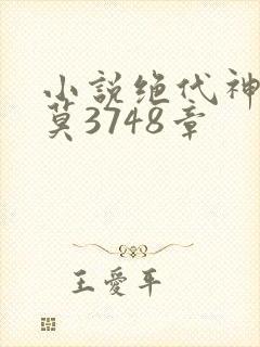 小说绝代神主苏莫3748章