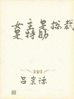 女主是总裁男主是特助