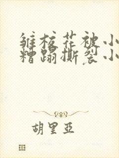 雏校花被小混混糟蹋撕裂小说