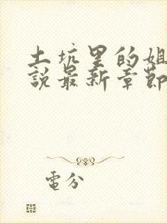 土坑里的姐弟小说最新章节更新