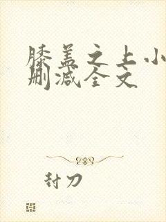 膝盖之上小说无删减全文