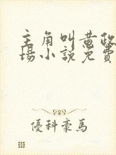 主角叫黄政的官场小说免费阅读封面