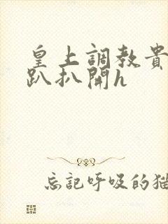 皇上调教贵妃跪趴扒开h