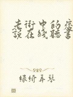 老街中的痞子小说在线听书