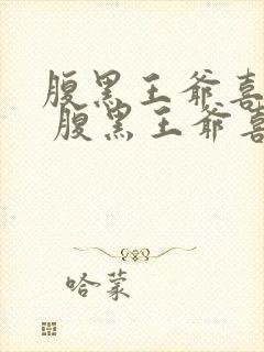 腹黑王爷喜当爹 腹黑王爷喜当爹封面