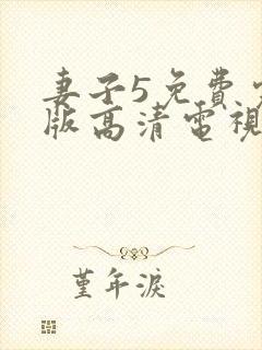 妻子5免费完整版高清电视剧