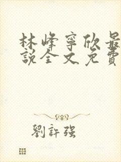 林峰宁欣最新小说全文免费阅读