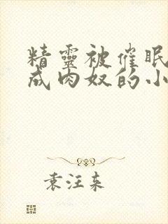 精灵被催眠调教成肉奴的小说
