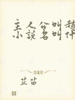 主人公叫赵旭的小说名叫什么