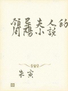领导夫人的秘密周阳小说