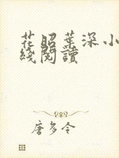 花昭叶深小说在线阅读封面