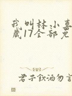 我叫林小喜今年岁17全部免费阅读
