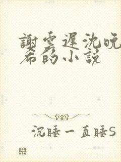 谢云迟沈晚梨叶希的小说封面