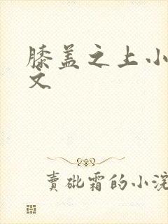 膝盖之上小说全文