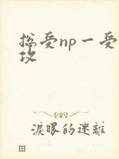 总受np一受多攻封面
