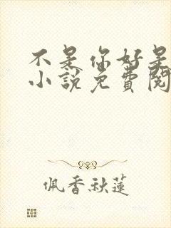 不是你好是我好小说免费阅读