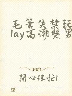 毛笔失禁玩弄play高潮双男主封面