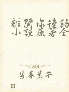 离开你后的新生小说原著全文阅读封面