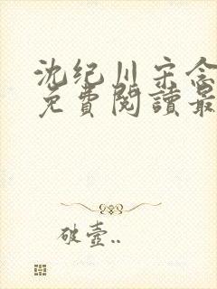 沈纪川宋念小说免费阅读最新章节封面