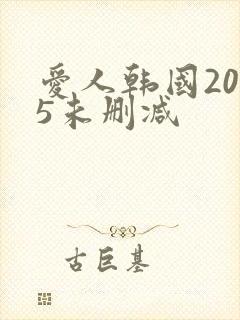 爱人韩国2005未删减