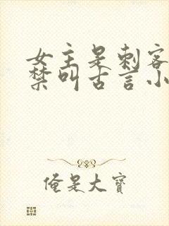 女主是刺客被囚禁叫古言小说封面