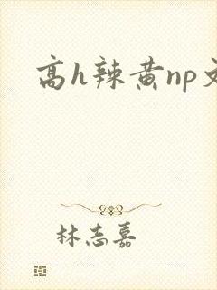 高h辣黄np文