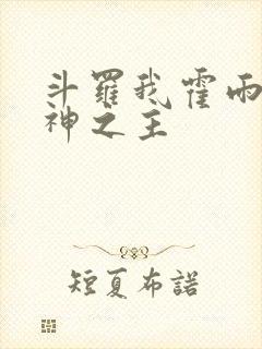 斗罗我霍雨浩精神之主封面