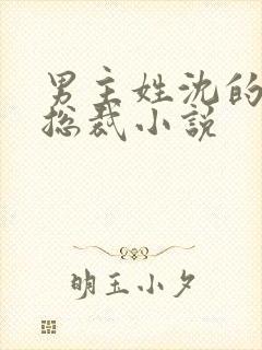 男主姓沈的霸道总裁小说