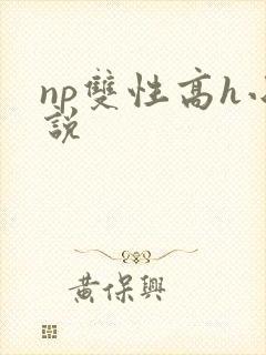 np双性高h小说