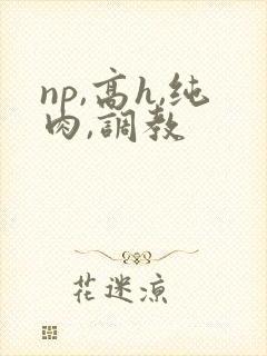 np,高h,纯肉,调教封面