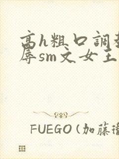 高h粗口调教羞辱sm文女王封面