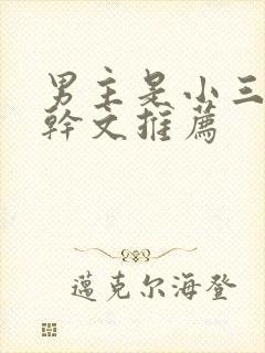 男主是小三的高干文推荐封面